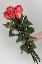 7 коралловых роз 70 см.